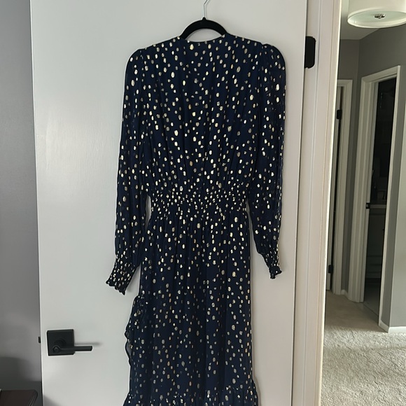 Lilly Pulitzer Navy Clip Dot Dress - Picture 4 of 5